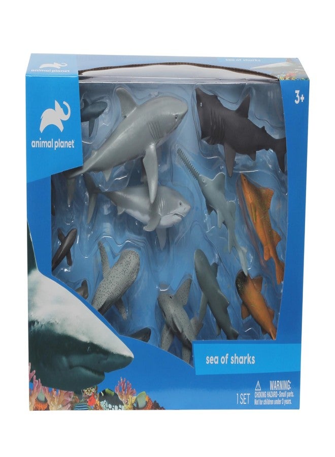 أنيمال بلانيت مجموعة ألعاب "بحر أسماك القرش" من أنيمال بلانيت - مجموعة مكونة من 14 قطعة من مجسمات أسماك القرش، تضم القرش الأبيض الكبير، وقرش المطرقة، وقرش ميغاموث، وغيرها، للأطفال من عمر 3 سنوات فما فوق. - Image 2